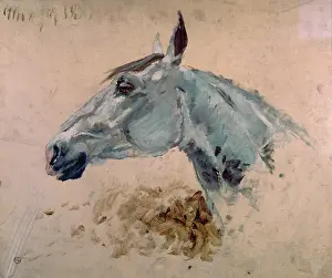 Henri De Toulouse Lautrec Prints: White Gazelle Horse (Cheval blanc gazelle)