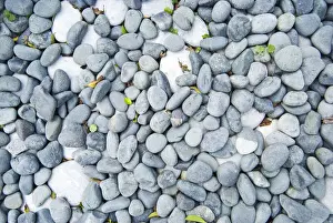 Pebble Prints: White and gray pebbles with fallen leaves