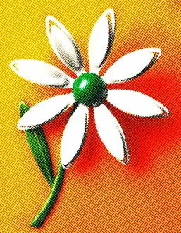 Unique Art Illustrations Gallery: White and Green Flower