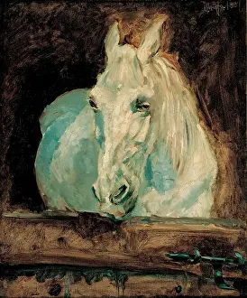 Henri Prints: The White Horse Gazelle, 1881. Artist: Toulouse-Lautrec, Henri, de (1864-1901)