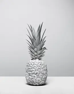 Prints of A pienapple, painted white, photographed against a white background Stone Prints: White Nature Pineapple Series 1