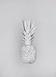 Prints of A floating pineapple, painted white, photographed against a white background Stone Prints: White Nature Pineapple Series 2
