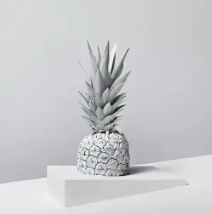 Prints of A pineapple, painted white, photographed against a white background Stone Prints: White Nature Pineapple Series 3