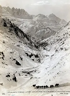 Landforms Prints: White Pass Summit