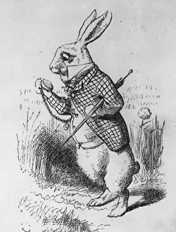 The White Rabbit
