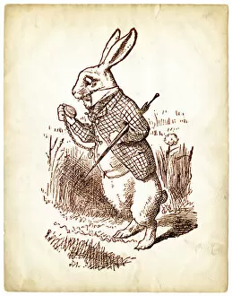 Images Dated 15th January 2015: The White Rabbit from Alice in Wonderland