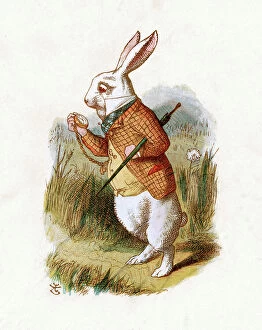 Images Dated 19th November 2012: The White Rabbit - Alice in Wonderland
