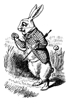 White Rabbit looking at watch illustration, (Alices Adventures in Wonderland)