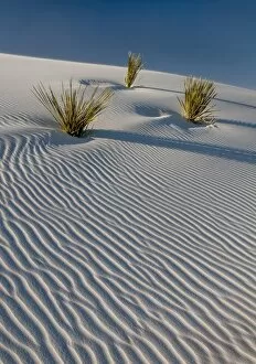 Images Dated 9th December 2013: White Sands National Monument scenic