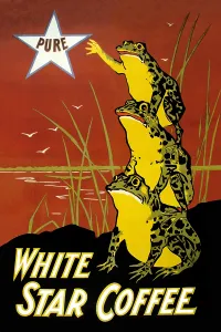 Coffee Prints: White Star Coffee