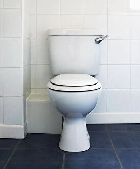 White toilet