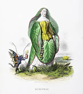 Grandville Prints: White water lily - Stunning Hand-colored plate from 'Les Fleurs Animees by J