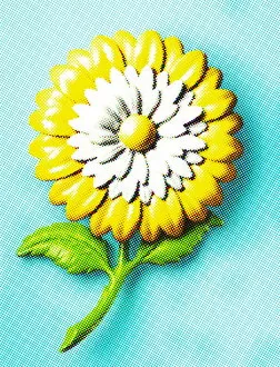 Captivating Art Illustrations Collection: White and Yellow Flower