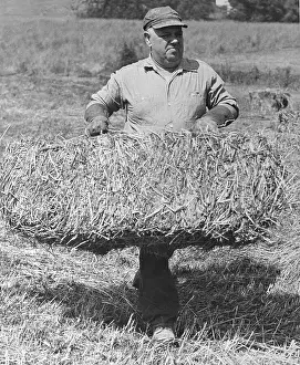 Westminster Prints: Whittaker Chambers with a Bale of Hay
