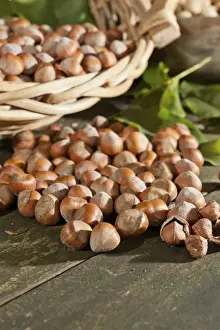 Nut Food Prints: Wicker basket with hazelnuts (Corylus avellana) on a wooden table