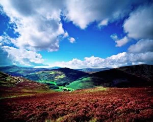 Images Dated 12th April 2016: Wicklow Mountains, County Wicklow, Ireland, Near Luggala