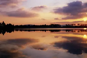 Co Wicklow, Vartry Reservoir, Ireland