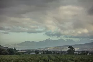 Images Dated 13th January 2017: Wide angle shot of plantations with gray clouds above, and mountains in the background