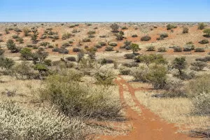 Images Dated 8th September 2012: Wide landscape, Kalahari, Namibia