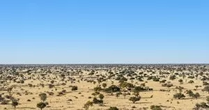 Images Dated 8th September 2012: Wide landscape with trees, Kalahari, Namibia
