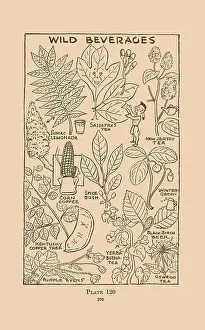 Coffee Prints: Wild Beverages