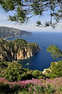 Catalonia Collection: Wild coastal scenery with views of the Cap de Begur, near Begur, Costa Brava, Spain