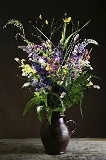 Images Dated 12th June 2012: Wild flowers in a vase