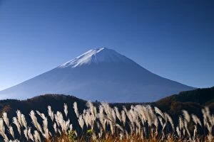 Images Dated 24th April 2006: Wild grasses and Mount Fuji, Fuji-Hakone-Izu National Park, Honshu, Japan