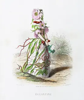 Grandville Prints: The wild rose - Stunning Hand-colored plate from 'Les Fleurs Animees by J