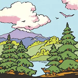 Ecology Prints: Wilderness Scene