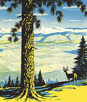 Images Dated 2nd October 2014: Wilderness Scene