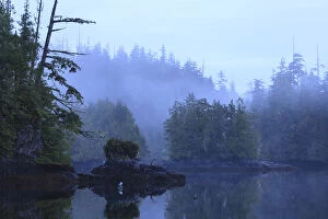 Wilderness scenery in Clam Cove near Browning Passage, Northern Vancouver Island, British Columbia, Canada