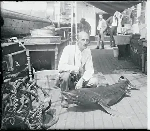William Beebe Displaying Shark