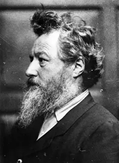 Hair Roles Prints: William Morris