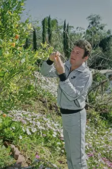 Huty33944 Prints: William Shatner, Canadian Actor