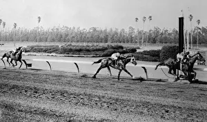 Inglewood Prints: Willie Shoemaker Crossing Finish Line on Swaps