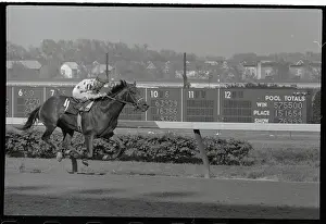 Willie Shoemaker on Damascus Winning Belmont Stakes