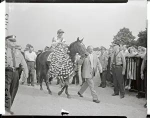 Elmont Prints: Willie Shoemaker on Gallant Man in Winner's Circle