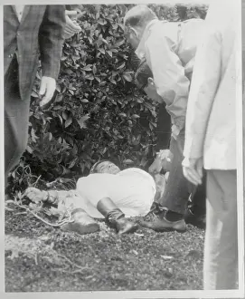 Inglewood Prints: Willie Shoemaker Laying on Ground After Being Thrown