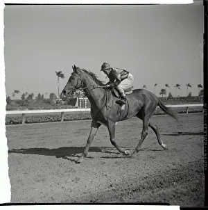 Camden Prints: Willie Shoemaker Racing on Swaps