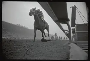 Ambition Prints: Willie Shoemaker Riding Across Finish Line