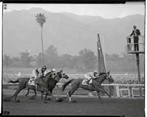 Willie Shoemaker Riding Trusting Across Finish Line
