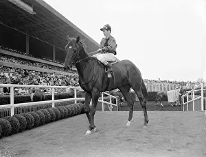 Inglewood Prints: Willie Shoemaker on Swaps at Track