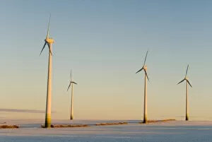 Saxon Gallery: Wind turbines in winter at sunrise on a snowy field, Saxony-Anhalt, Germany, Europe