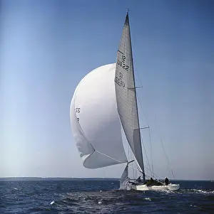 Windblown Sails of Yacht on Open Sea