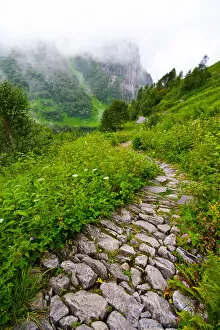 The winding path at the Valley of Flowers