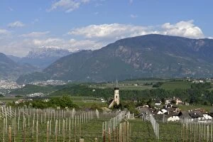 Images Dated 14th April 2014: Wine growing, at St. Pauls on the Wine Route, Uberetsch South Tyrol, Italy