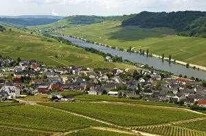 The wine-growing town of Nittel on the Upper Moselle river, Moselle valley, Rhineland-Palatinate, Germany, Europe