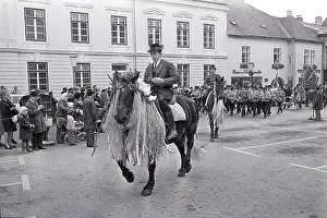 Horses Prints: Winegrowers'harvest festival