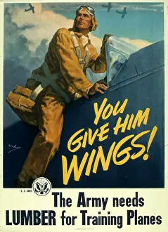 T1641685 Prints: You Give Him WIngs!